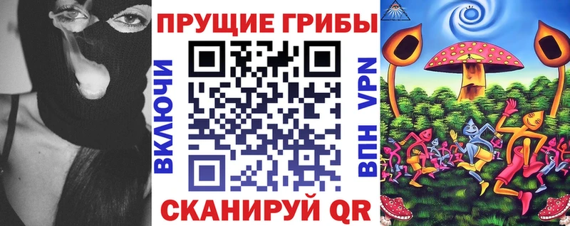 kraken как войти  Ялуторовск  Псилоцибиновые грибы Psilocybe 